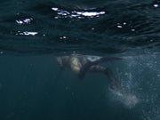 Behind the Design: Spearo