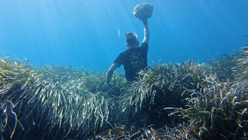 Flint Clothing Souls Untapped Spearfishing T-shirt Casualwear Hunting Deerstalking Shooting Fieldsports Fieldcraft Bushcraft Stalking Deer Hunt Hunter Antlers UK