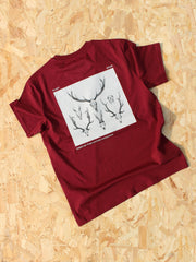 OUTLET - Deer of the UK T-shirt - Oxblood